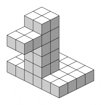 fig3 ボクセルデータの例